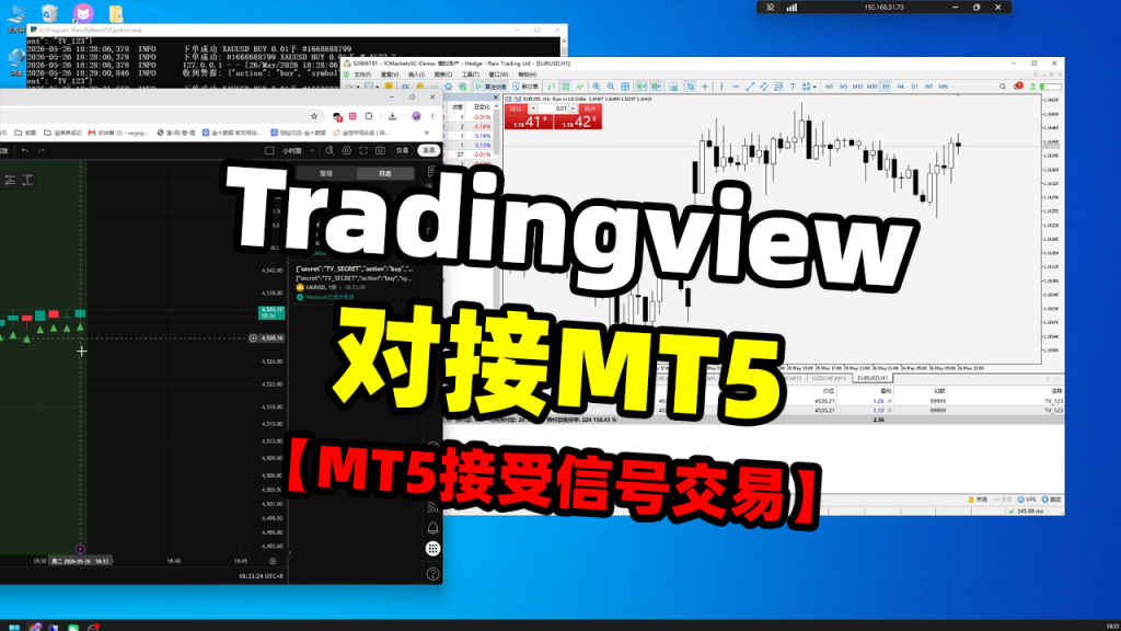Tradingview对接MT5（测试版本）